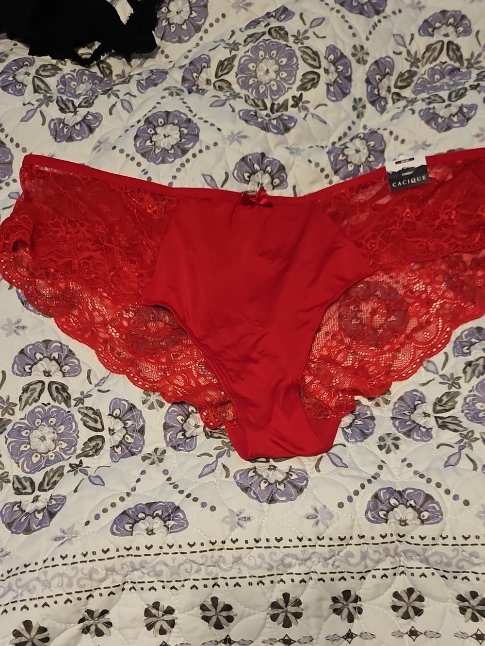 Cacique Red Lace Brief Panty with Scalloped Edges
